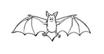 bat.gif