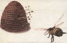 bee_small.jpg