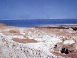 dead-sea.jpg