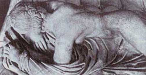 hermaphrodic_close_up.jpg