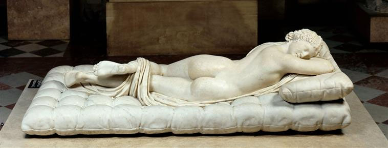 hermaphrodite.jpeg