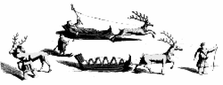 kaarta-reindeer_enhanced.jpg