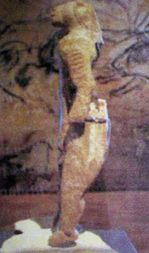 lionman0010.jpg