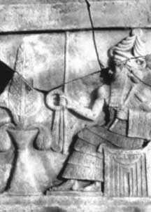 stela.jpg