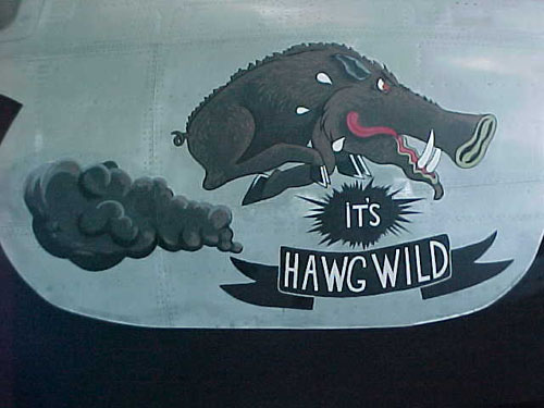warthog.jpg